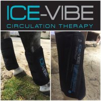 #30 J’ai testé pour vous … les guêtres Ice-Vibe d’Horseware