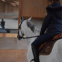 Découverte des installations de l'ecole nationale d'équitation de saumur