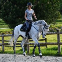 #102 J'ai testé pour vous ... les selles Amerigo