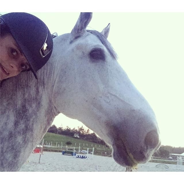 Selfie du soir - travail en cordelette // Mimi au top 🦄🌟🎈 #selfie #horse #freedom #freeriding #mimi #cordelette #horseofinstagram #horseoftheday #bordeaux